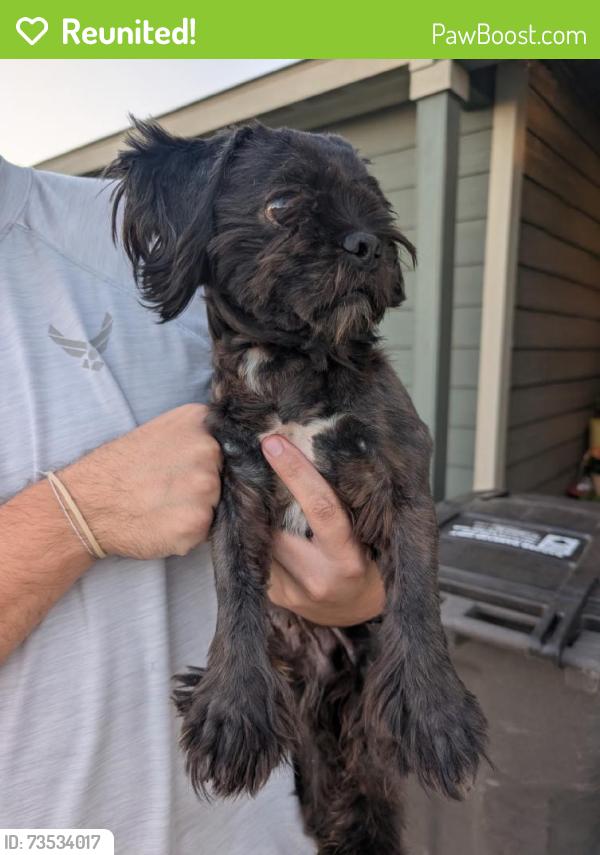 Reunited Unknown Dog last seen Near Skipador Dr, Fort Worth, TX 76179, USA, Fort Worth, TX 76179