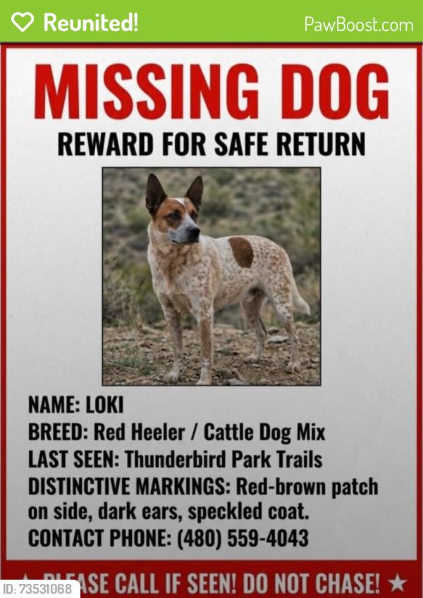 Reunited Male Dog last seen 67th ave & Deer Valley Rd, Glendale, AZ 85310