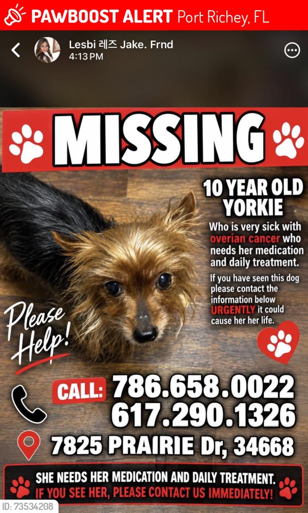 Lost Female Dog last seen Mark Twine, Port Richey, FL 34668