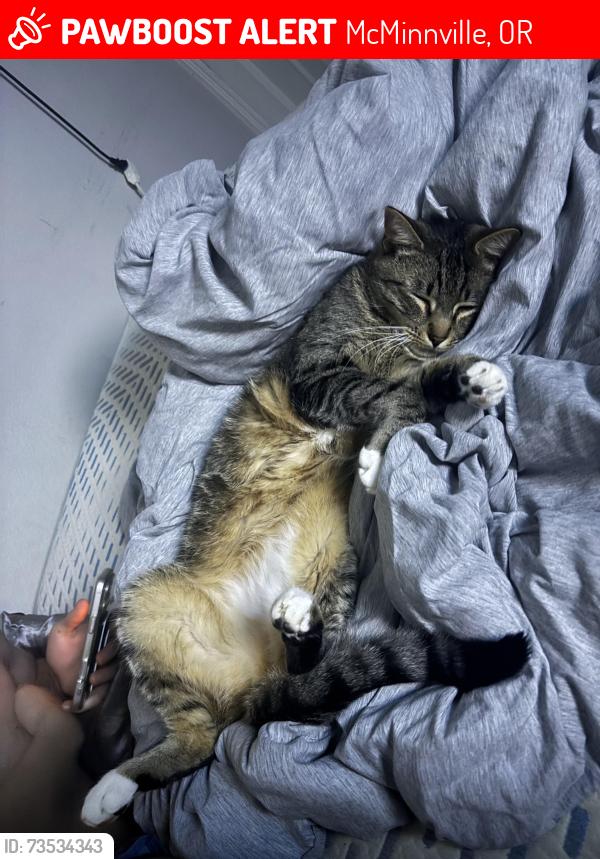 Lost Male Cat last seen Near NW Fifth Ct McMinnville, OR 97128 United States, McMinnville, OR 97128