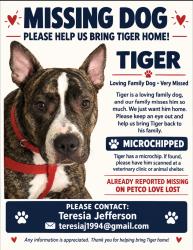 Reunited Male Dog last seen Sandstone drive Arlington Tx, Arlington, TX 76001