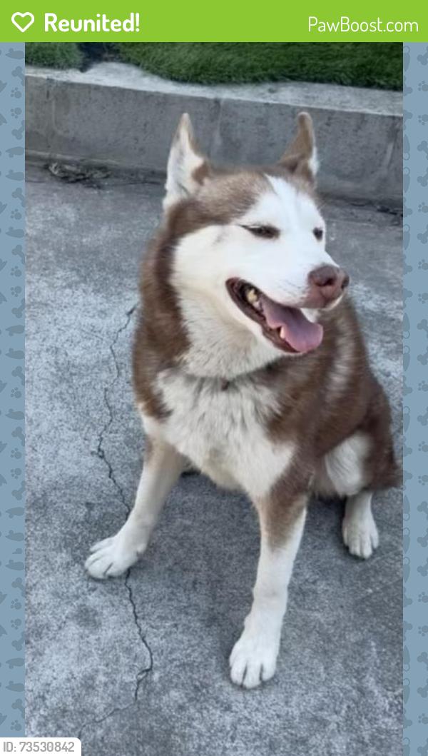 Reunited Male Dog last seen La Porte Ave, San Jose, CA 95122