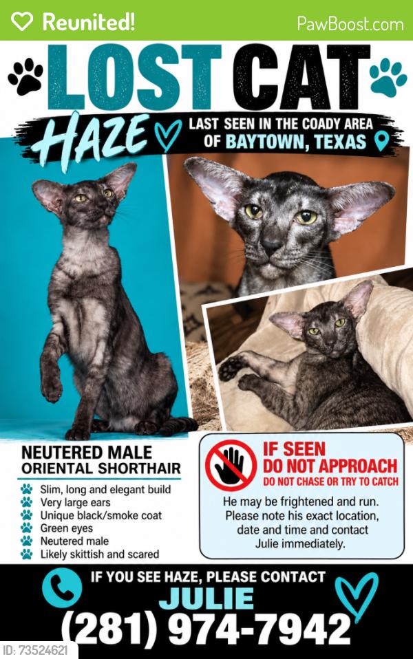 Reunited Male Cat last seen Coady area, Baytown, TX 77522