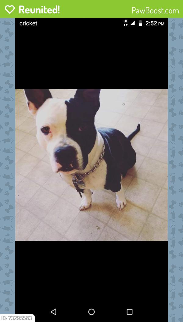 Reunited Male Dog last seen Stanley market, Aurora, CO 80010