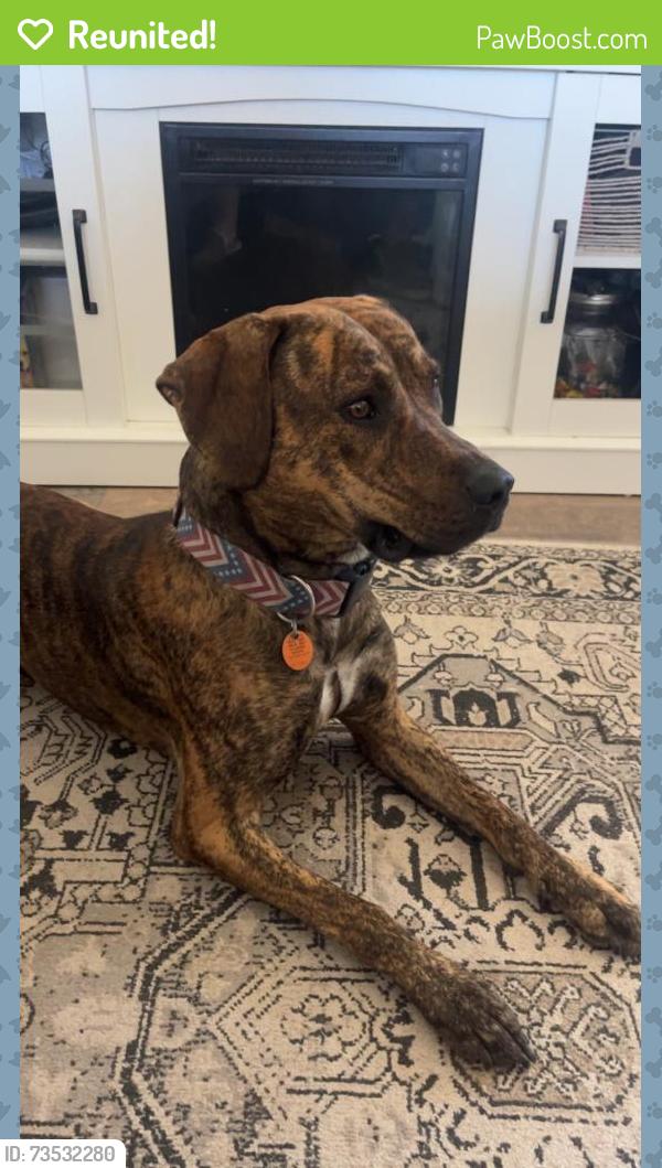 Reunited Male Dog last seen Near Ace Ct., Parkton, NC 28371