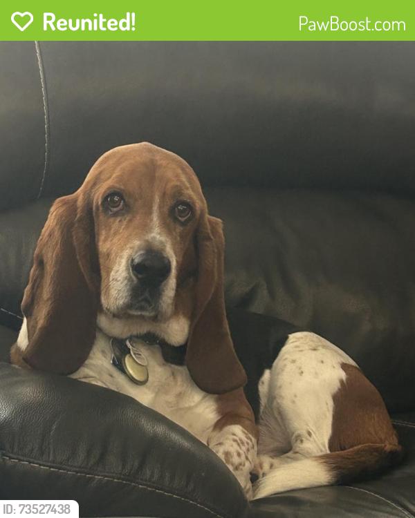 Reunited Male Dog last seen Live Oak Ct near Ponderosa Way, Pine Grove, CA 95665