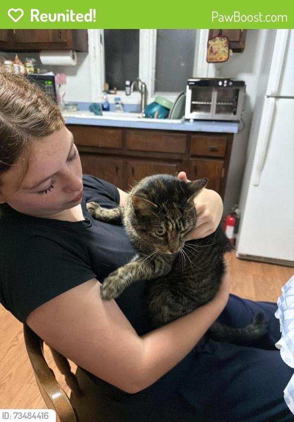 Reunited Female Cat last seen Kirkville rd, East Syracuse, NY 13057