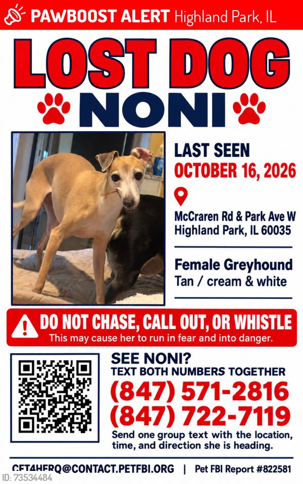 Lost Female Dog last seen McCraren Road and Park Ave West, Highland Park, IL 60035