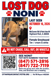 Lost Female Dog last seen McCraren Road and Park Ave West, Highland Park, IL 60035