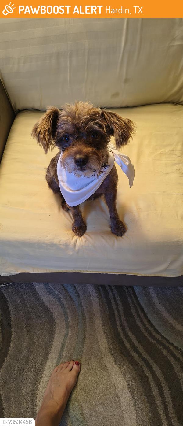 Found/Stray Female Dog last seen East of gun range in Hardin TX, Hardin, TX 77561