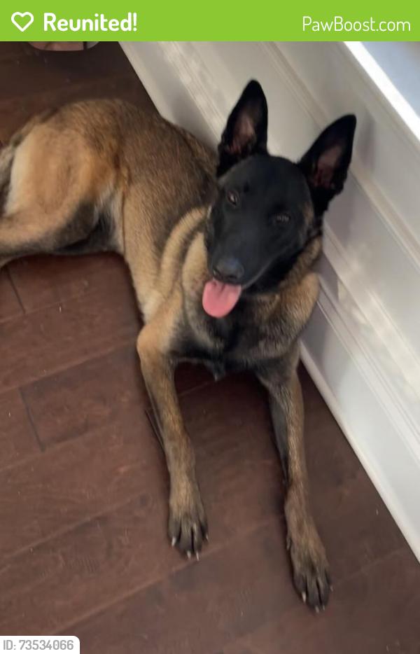 Reunited Female Dog last seen Near Augusta rd Clemson sc 29631, Clemson, SC 29631
