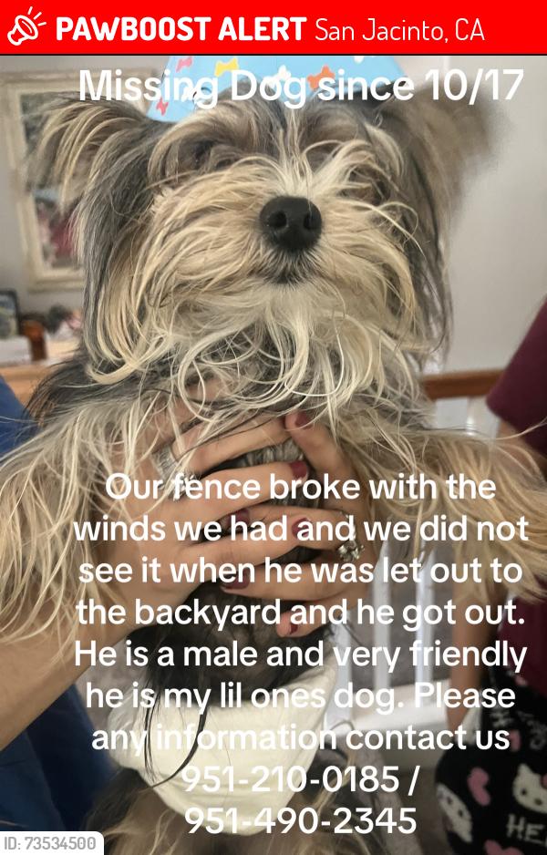 Lost Male Dog last seen Ramona Rd, Lyon, San Jacinto, CA 92582