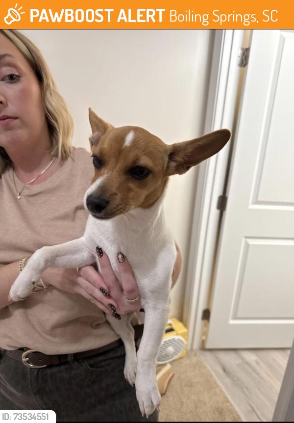 Found/Stray Female Dog last seen Valley falls and 5th st, Boiling Springs, SC 29316