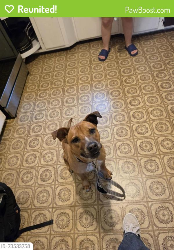 Reunited Male Dog last seen Zoo Boulevard and West St., Wichita, KS 67203