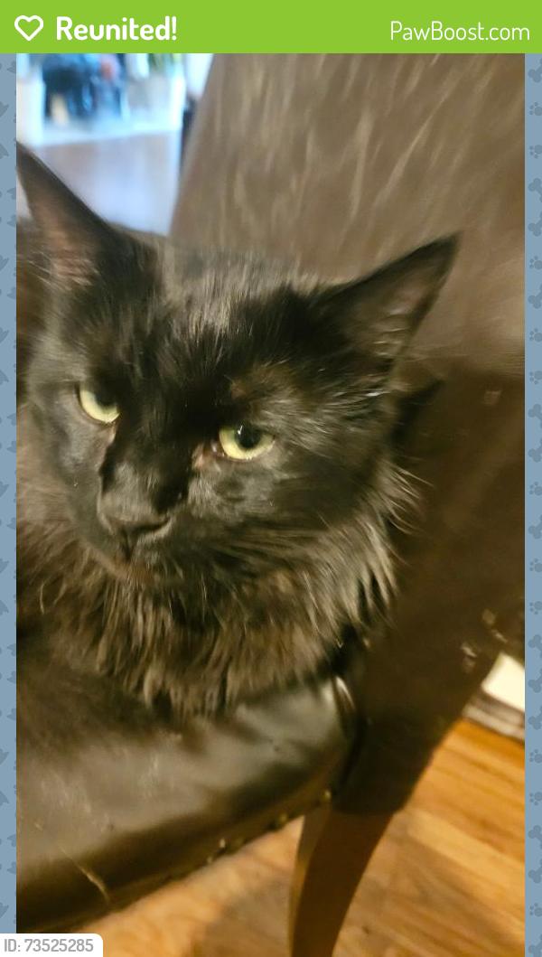 Reunited Male Cat last seen 127th Ln. closer to the intersection of Ulysses, Blaine, MN 55434