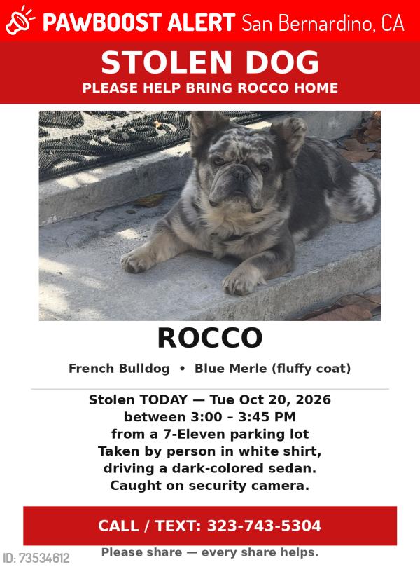 Lost Male Dog last seen Highland ca, San Bernardino, CA 92404