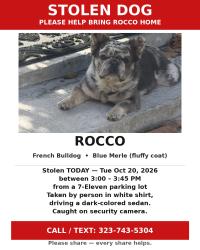 Lost Male Dog last seen Highland ca, San Bernardino, CA 92404
