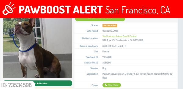 Lost Female Dog last seen guerreo st, San Francisco, CA 94110