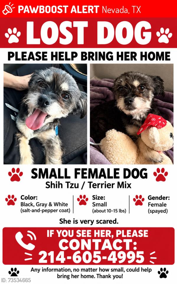 Lost Female Dog last seen Cedar elm, Nevada, TX 75173