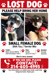 Lost Female Dog last seen Cedar elm, Nevada, TX 75173