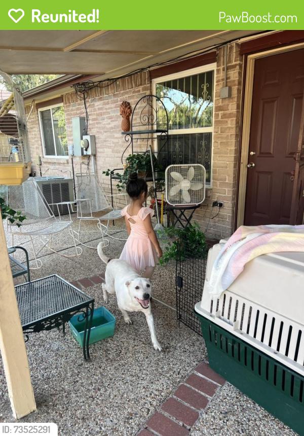 Reunited Male Dog last seen Clay rd, Houston, TX 77041