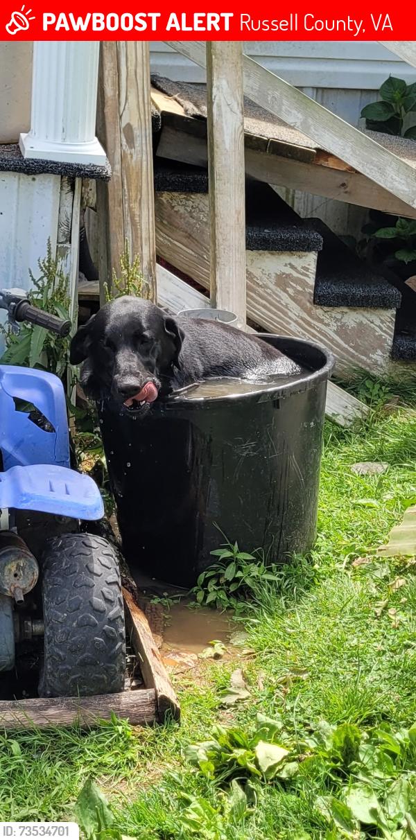 Lost Male Dog last seen Crossroads, church hill, Russell County, VA 24266