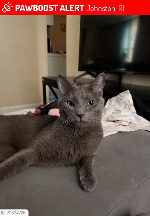 Lost Male Cat last seen Rainone Gym on Mill St, Johnston, RI 02919