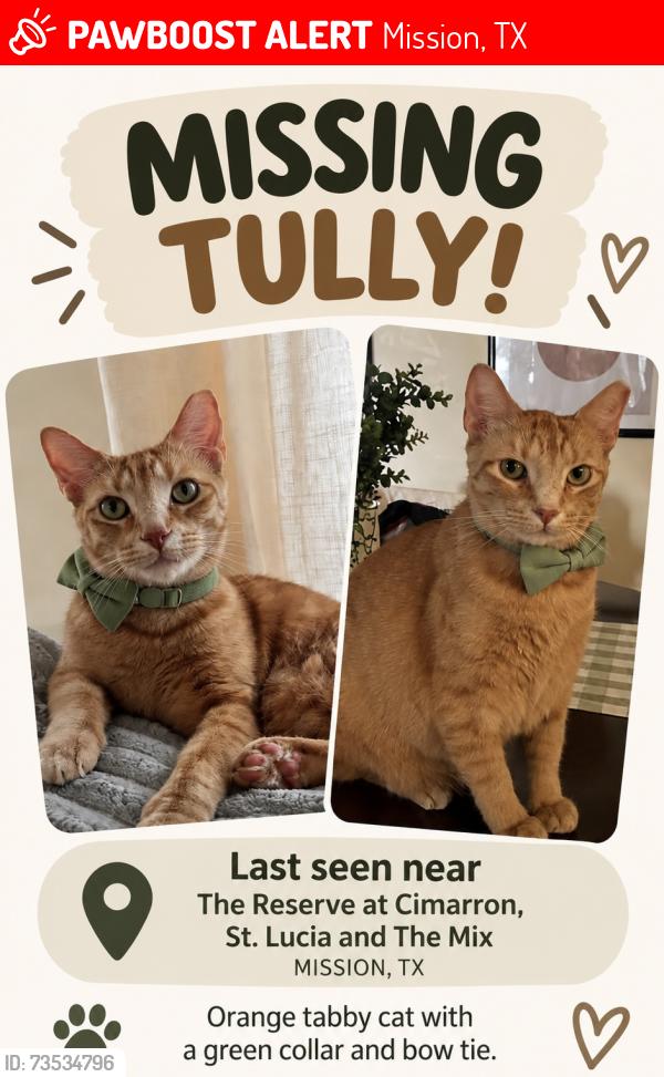 Lost Male Cat last seen The reserve at Cimarron, St. Lucia, the Mix, Mission, TX 78572