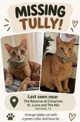 Lost Male Cat last seen The reserve at Cimarron, St. Lucia, the Mix, Mission, TX 78572
