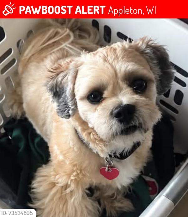 Lost Male Dog last seen Windcross and Evergreen, Appleton, WI 54913