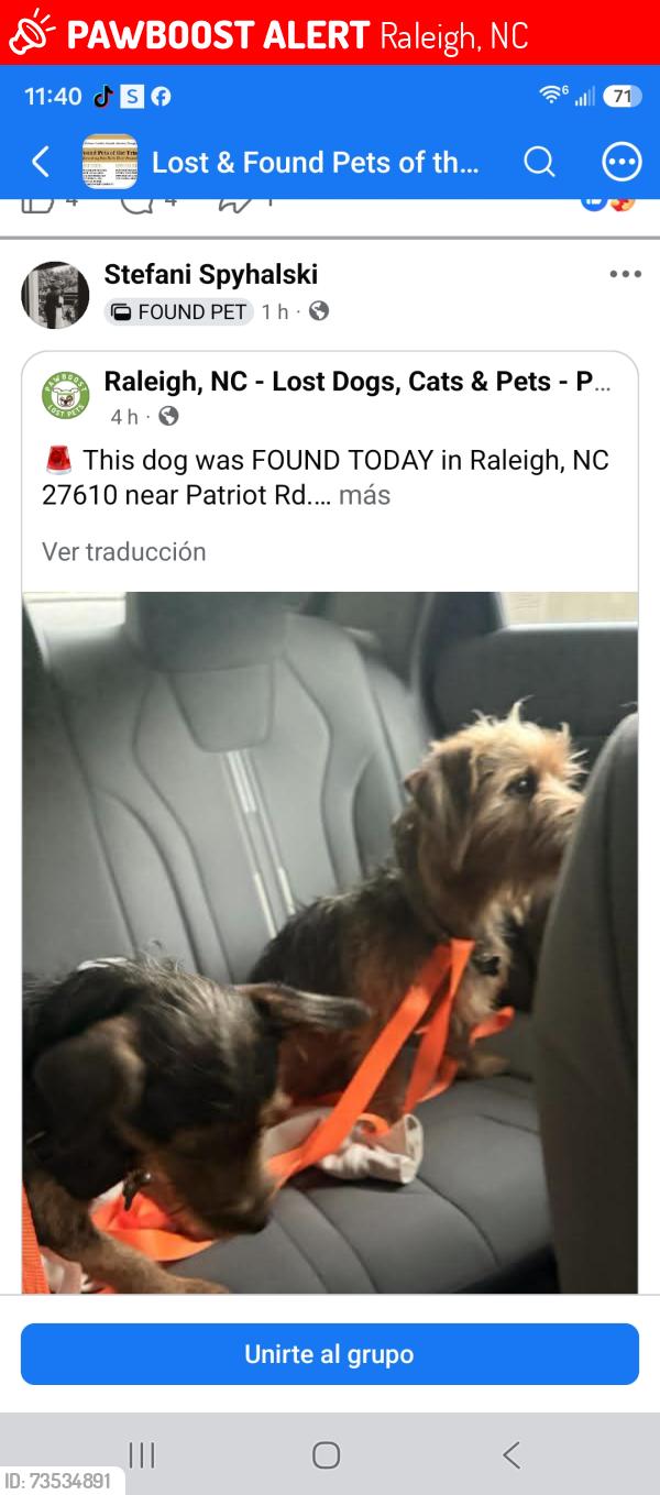 Lost Male Dog last seen Patriots dr, por las home móvil kingsboroug, Raleigh, NC 27610