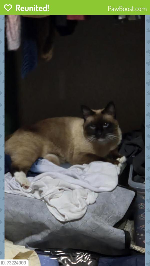 Reunited Male Cat last seen Florida and Homedale, Caldwell, ID 83607