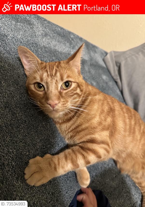 Lost Male Cat last seen Crosswalk, Portland, OR 97220
