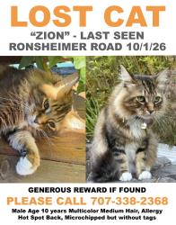Lost Male Cat last seen Ronsheimer Rd, Penngrove, CA 94951