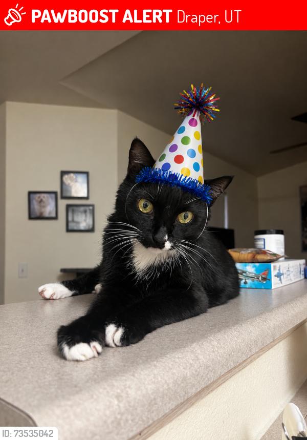 Lost Male Cat last seen Adagio Apartments, Draper, UT 84020