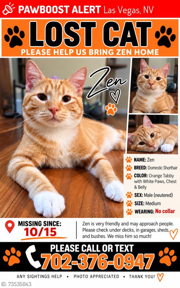 Lost Male Cat last seen Buffilo/Tenaya Alexander, Las Vegas, NV 89129