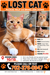 Lost Male Cat last seen Buffilo/Tenaya Alexander, Las Vegas, NV 89129
