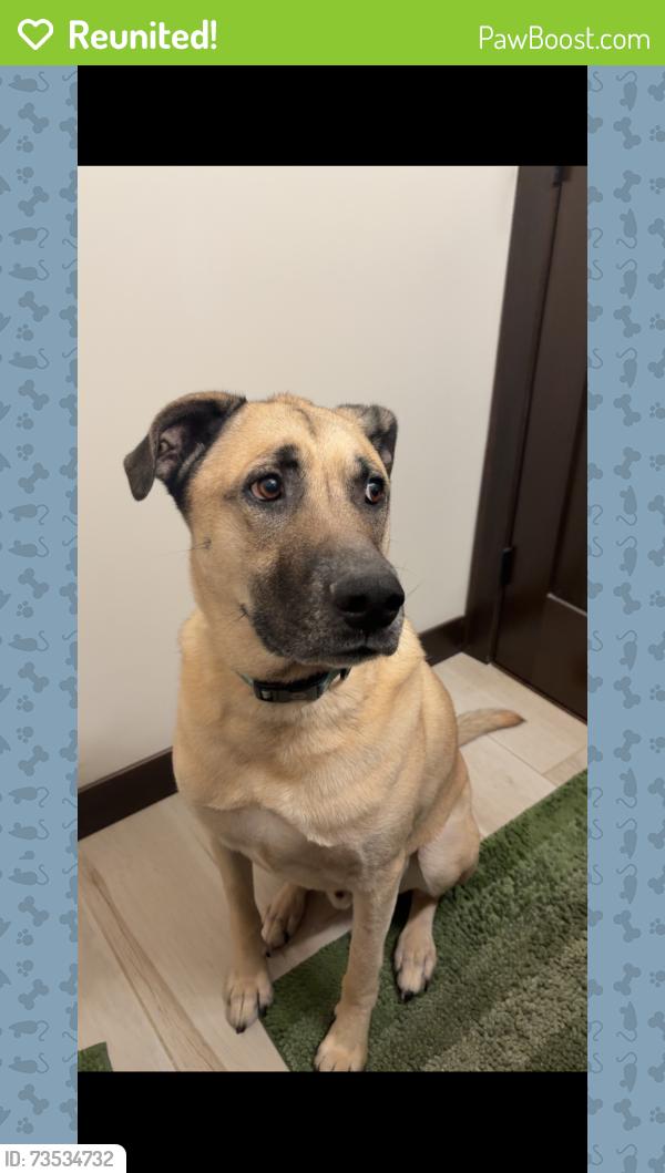 Reunited Male Dog last seen Jensen Ave S, Cottage Grove, MN 55016