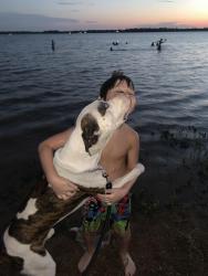 Lost Male Dog last seen It’s, Cleburne, TX 76031
