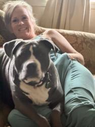Lost Male Dog last seen Poinsettia & Salvia, Murrieta, CA 92563