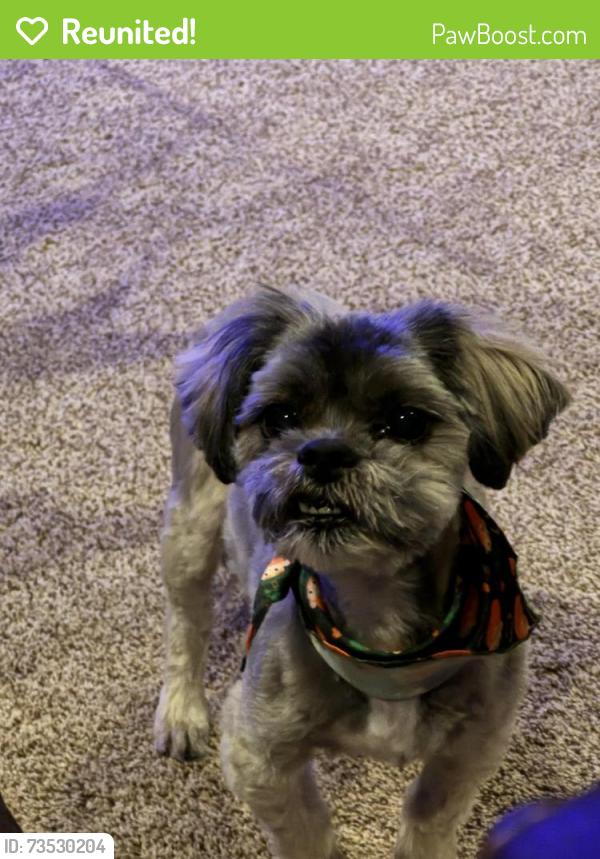 Reunited Female Dog last seen Avalon Park, Wichita, KS 67205