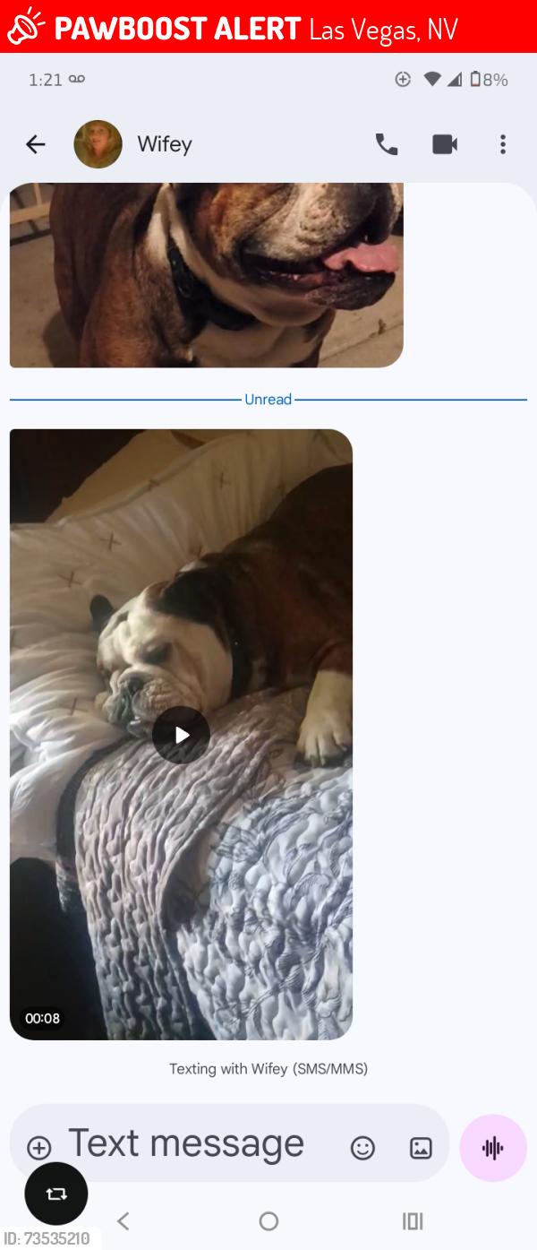 Lost Male Dog last seen Charleston and Christy Lane, Las Vegas, NV 89110