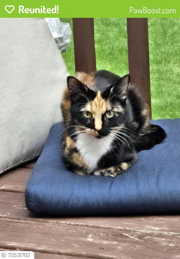 Reunited Female Cat last seen 123rd Ave and Buchanan St, Blaine, MN 55434