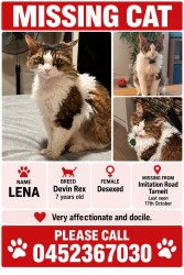 Reunited Female Cat last seen Imitation road Tarneit, Tarneit, VIC 3029