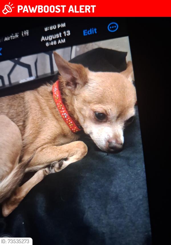 Lost Female Dog last seen 5652hubbard st, East Los Angeles, CA 90022