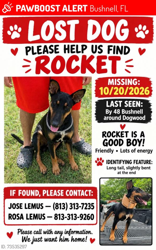 Lost Male Dog last seen By dogwood- pizzahut in Bushnell, Bushnell, FL 33585