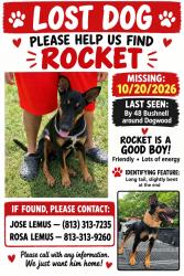 Lost Male Dog last seen By dogwood- pizzahut in Bushnell, Bushnell, FL 33585