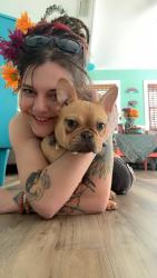 Lost Male Dog last seen Bull street and Oklahoma dr, Chesapeake, VA 23323
