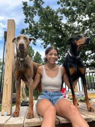 Lost Female Dog last seen Thunder rd and 115th, Augusta Township, KS 67010