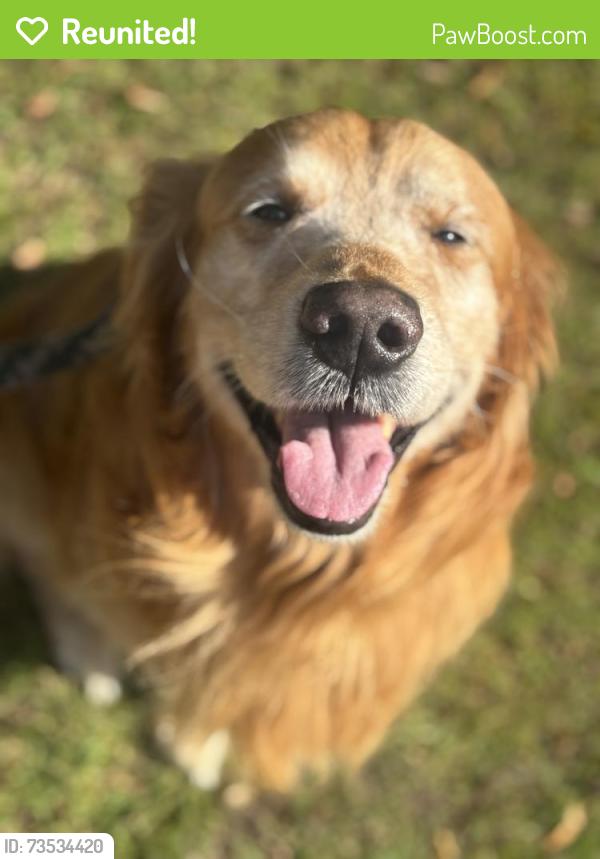 Reunited Male Dog last seen W Stanley rd, Flushing, MI 48433